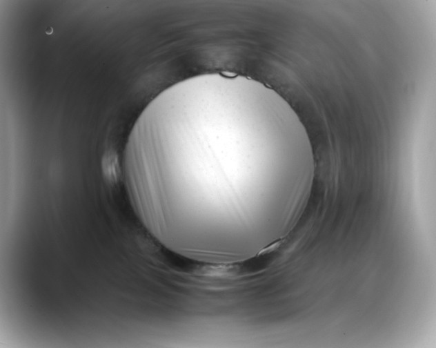 X0000088360089200706051031