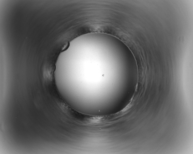 X0000088360090200706051031