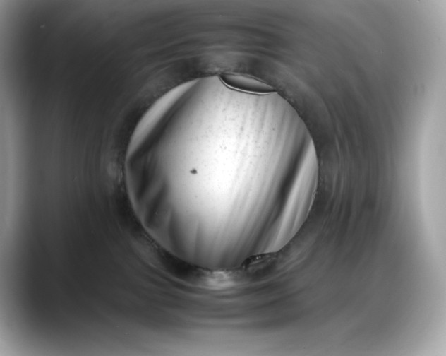 X0000088360091200706051031