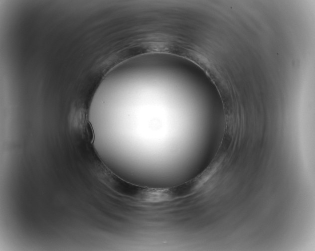 X0000088360093200706051031