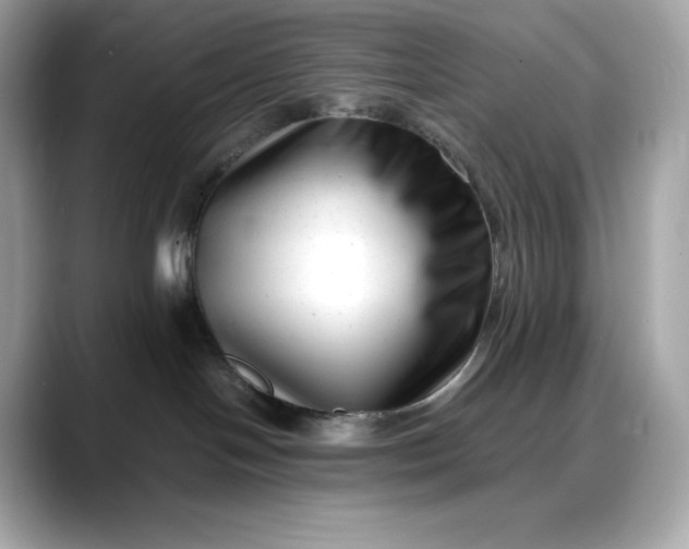 X0000088360094200706051031