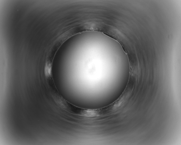 X0000088360095200706051031