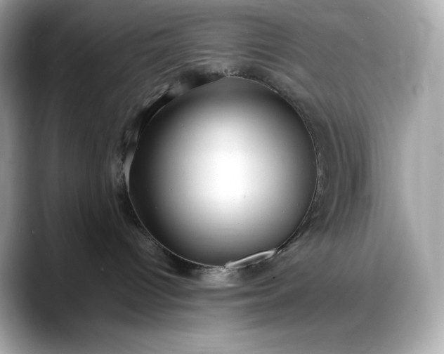 X0000088360096200706051031