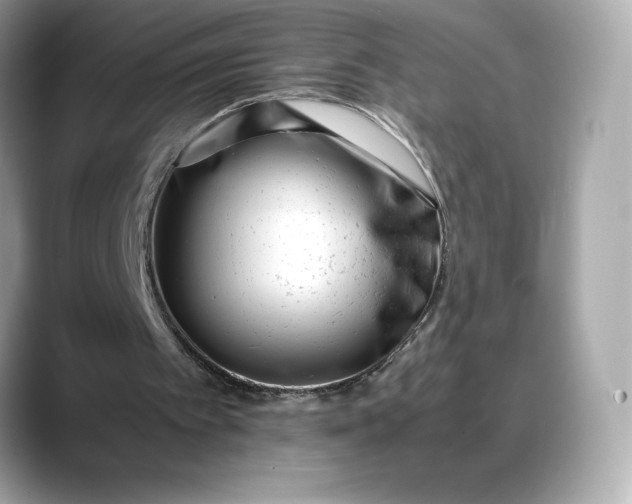 X0000088360097200706051031