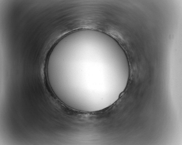 X0000088360098200706051030