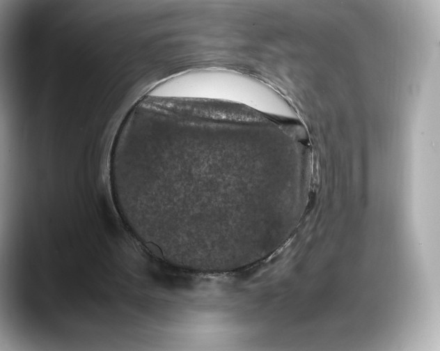 X0000088360099200706051030