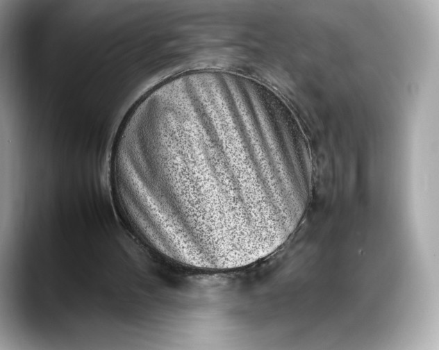 X0000088360100200706051030