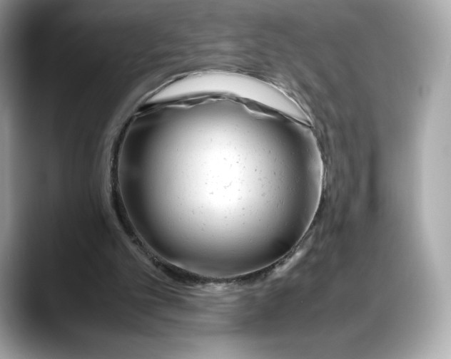 X0000088360101200706051030