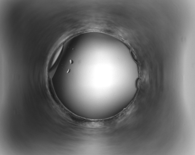 X0000088360102200706051030