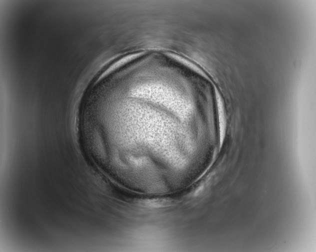 X0000088360103200706051030