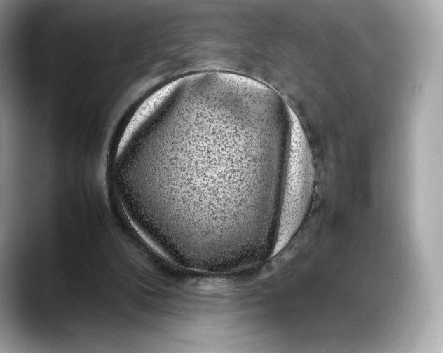 X0000088360104200706051030