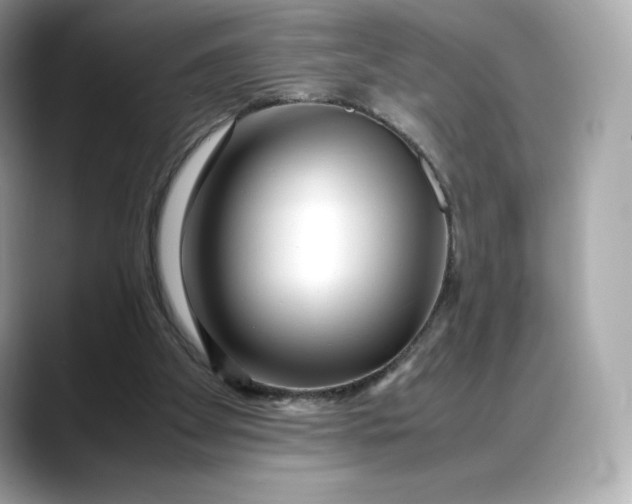 X0000088360105200706051030