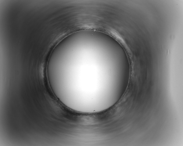 X0000088360106200706051030