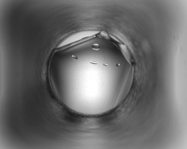 X0000088360107200706051030