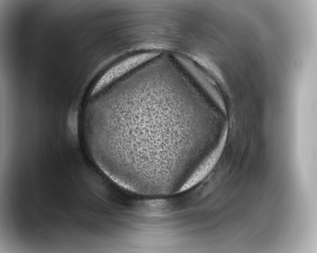 X0000088360108200706051030