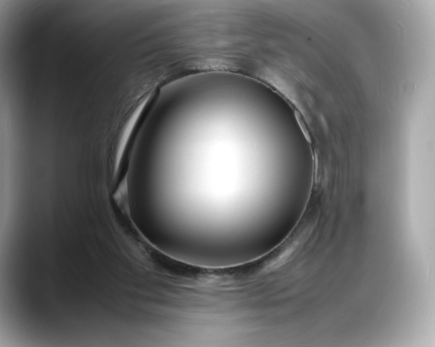 X0000088360109200706051030