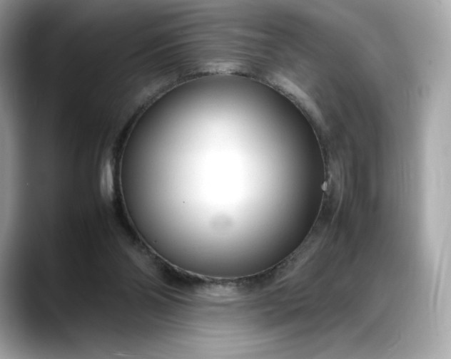 X0000088360110200706051030