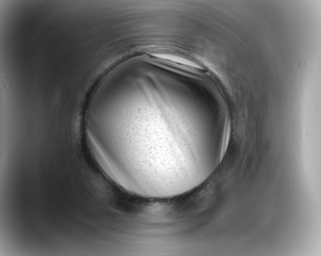 X0000088360111200706051030