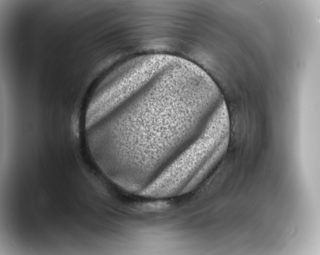 X0000088360112200706051030