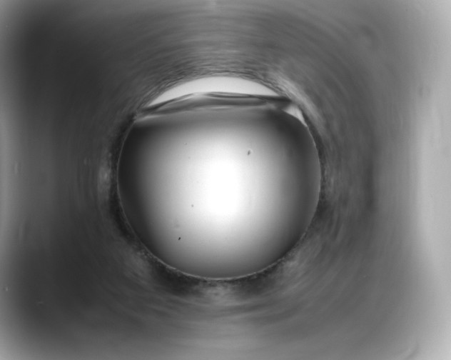 X0000088360113200706051030