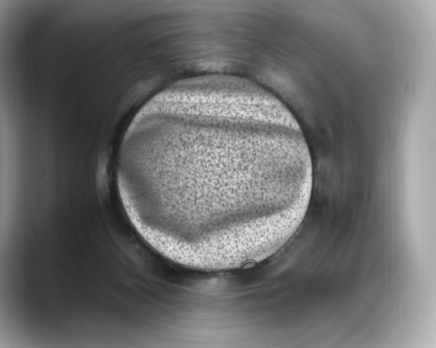 X0000088360116200706051030