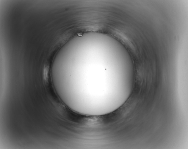 X0000088360118200706051030