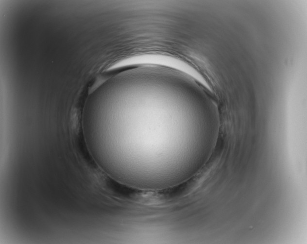 X0000088360121200706051030