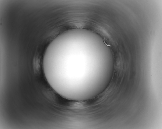 X0000088360122200706051030