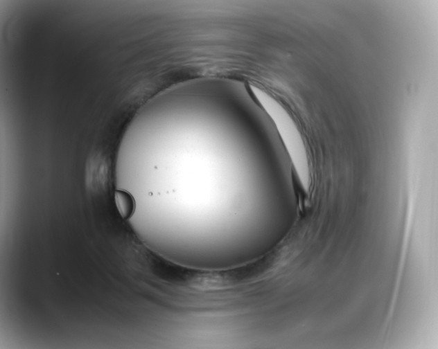 X0000088360123200706051030