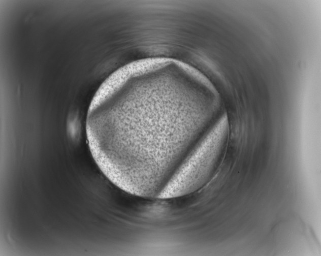 X0000088360124200706051030