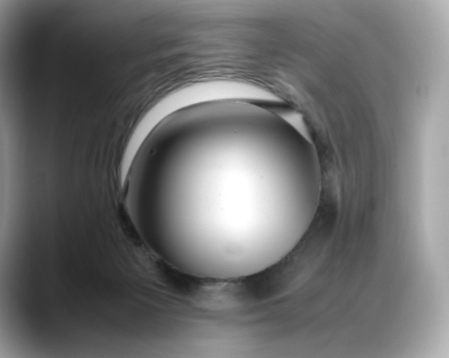 X0000088360125200706051030