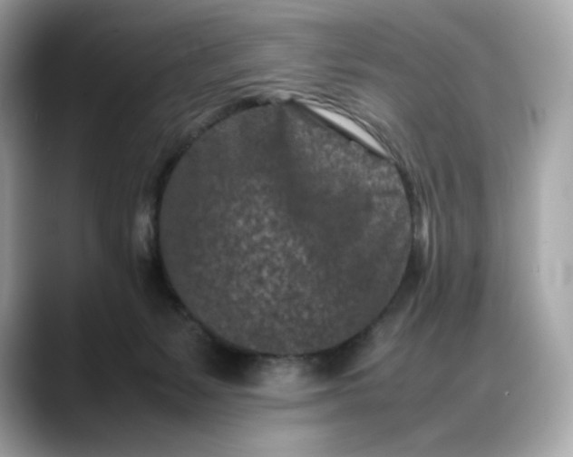 X0000088360127200706051030