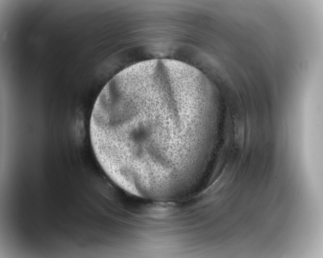 X0000088360128200706051030