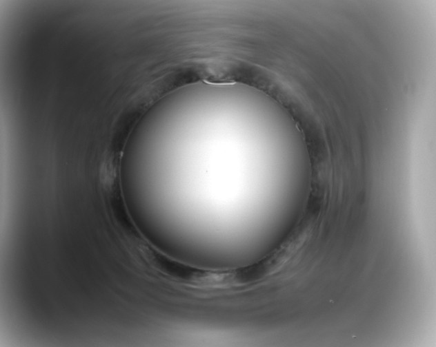 X0000088360129200706051030