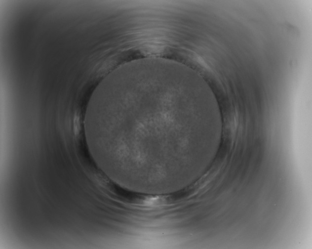 X0000088360130200706051030