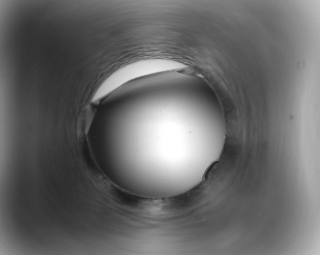 X0000088360131200706051030