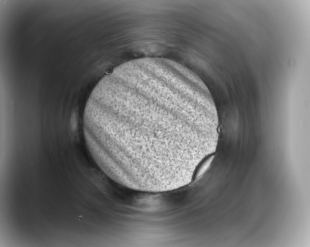 X0000088360132200706051030