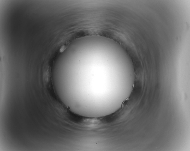 X0000088360133200706051030