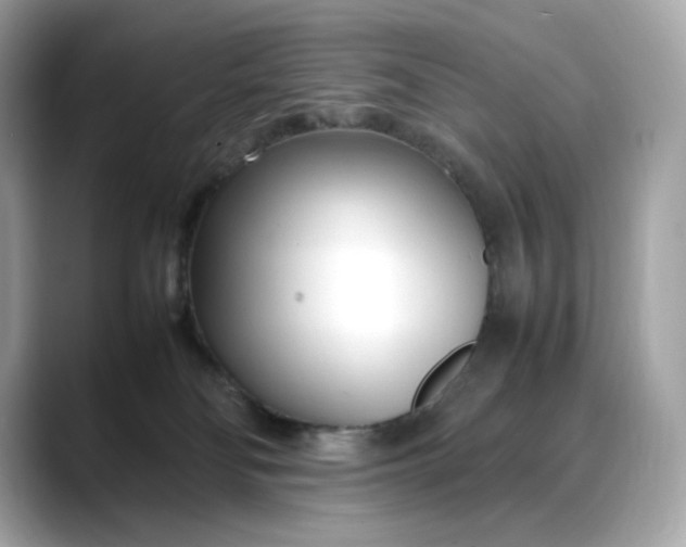 X0000088360134200706051030