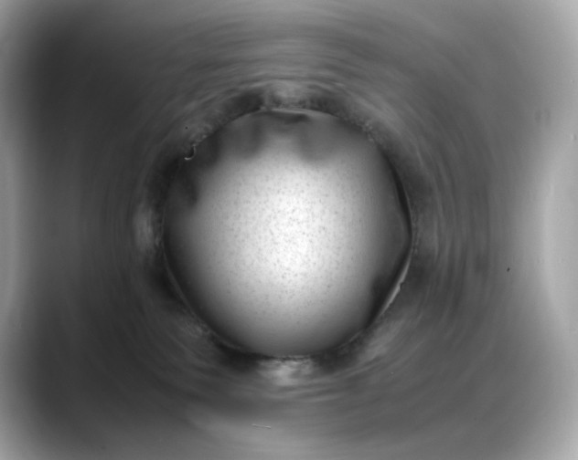 X0000088360135200706051030