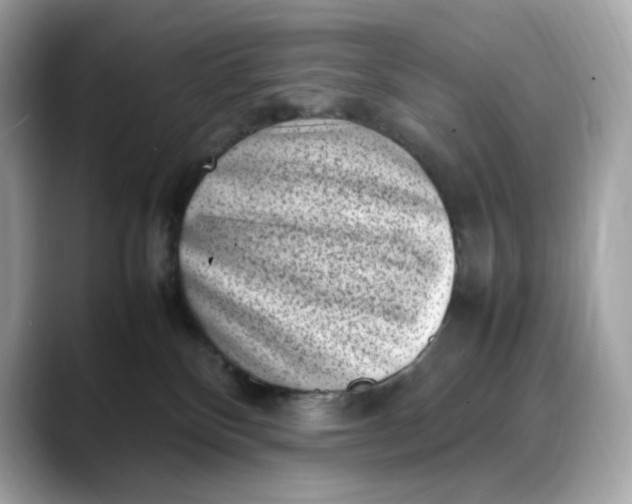 X0000088360136200706051030