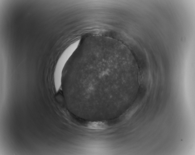 X0000088360137200706051030