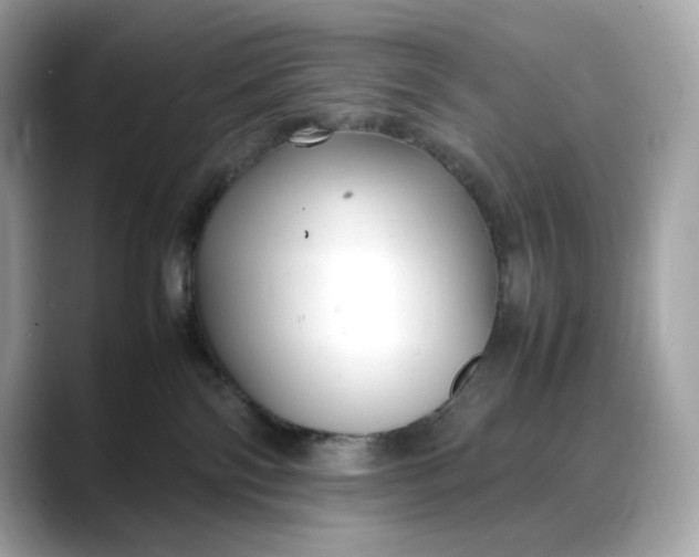 X0000088360138200706051030