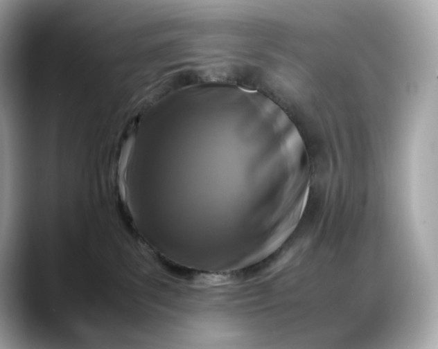 X0000088360139200706051030