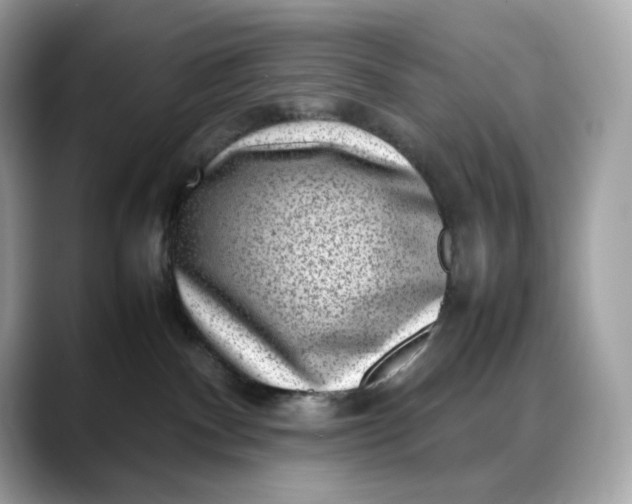 X0000088360140200706051030