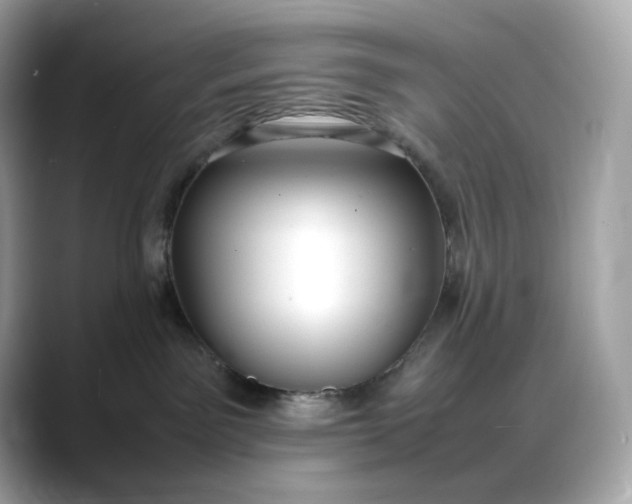 X0000088360141200706051030