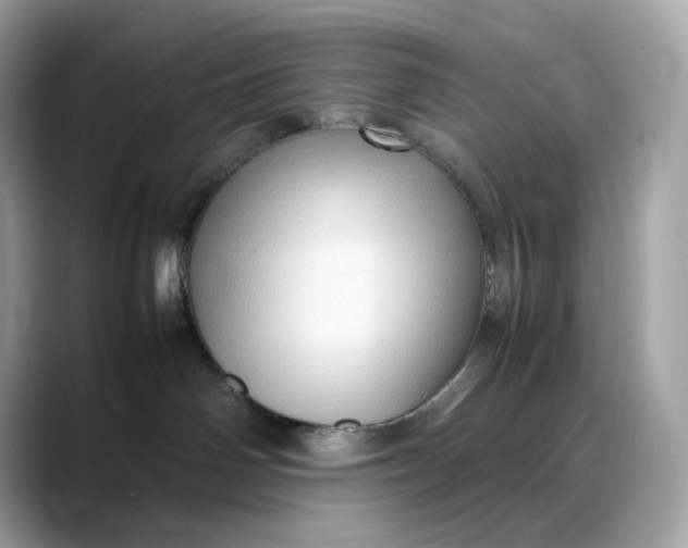 X0000088360142200706051030