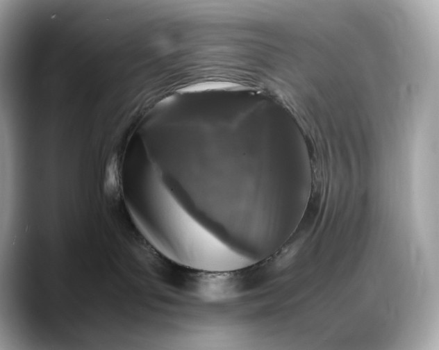 X0000088360143200706051030