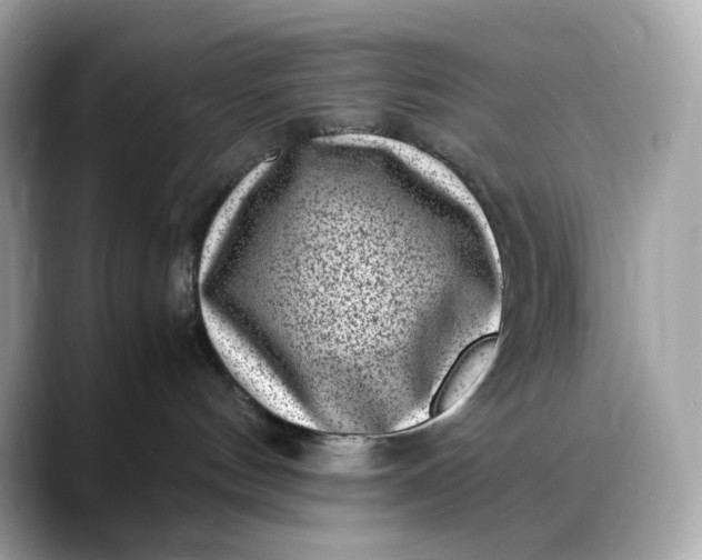 X0000088360144200706051030