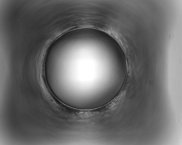 X0000088360145200706051029